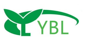 yblpaper.com